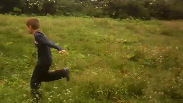 Каратист проти бика