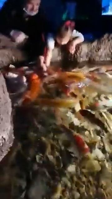 Океанориум в Рио.Московская область.(2)