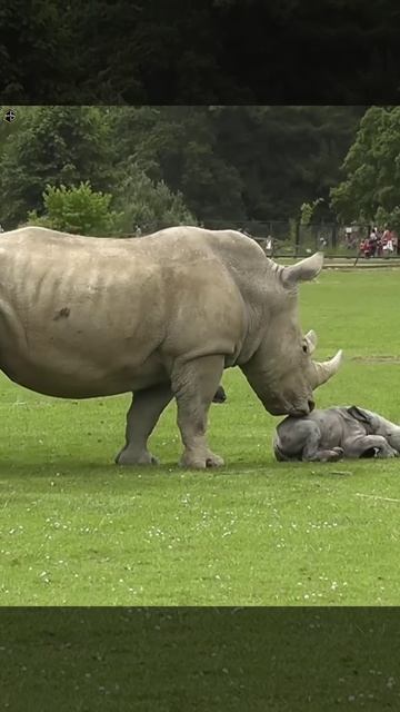 Be3a74fa738335678796f1804464267b