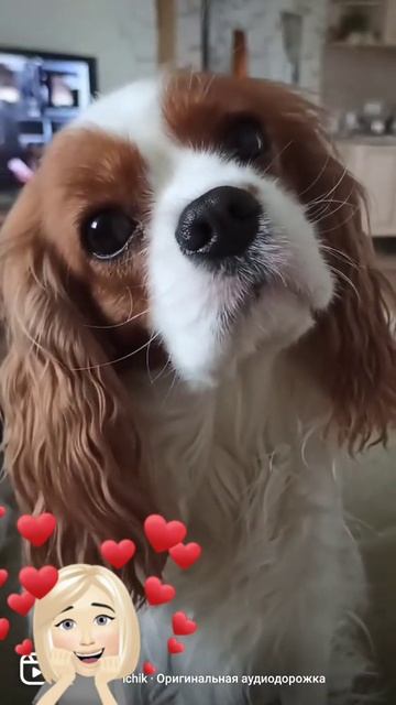 9515bd3e3d7d48e936fcf38bebcfd702