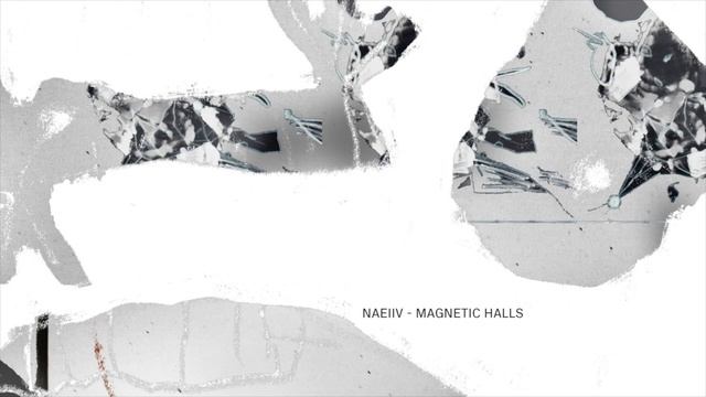 Naeiiv - Magnetic Halls