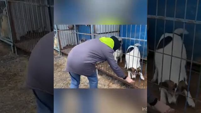 Большая помощь маленькому другу