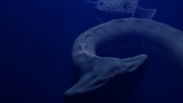 The Bloop Vs El Gran Majá 2 - Coffin Dance (Cover)