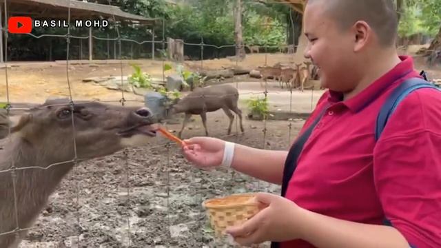 Fakta Haiwan Di Zoo Negara!