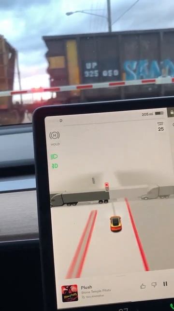 Как видит тесла поезд