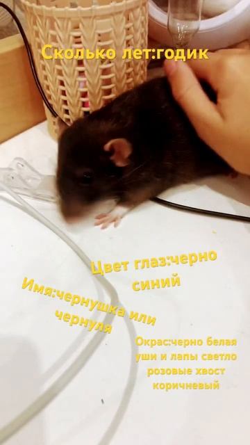 20 июля 2023 г.