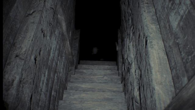 стыдливый тестовый стрим