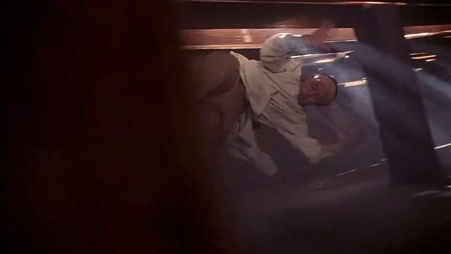 Fong Sai Yuk (1993) - Final Fight Scenes