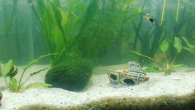 19 апреля 2023 г.