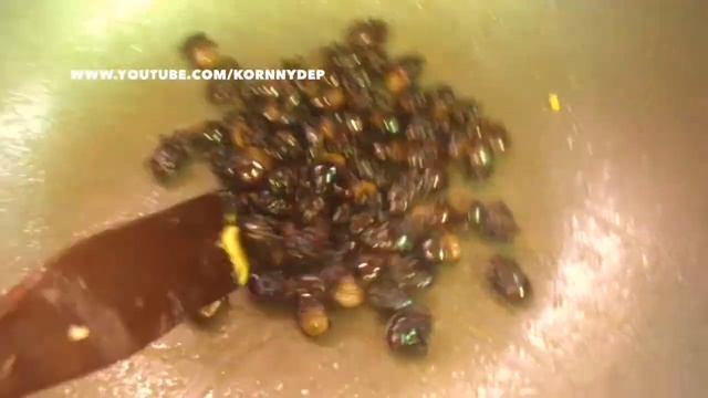 Thai Bizarre Food, EAT DUNG BEETLE FROM PAI AFTERNOON MARKET