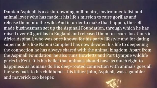 Meet The Millionaire Who Dedicated His Life To Raising Gorillas And Releasing Them Into The Wild