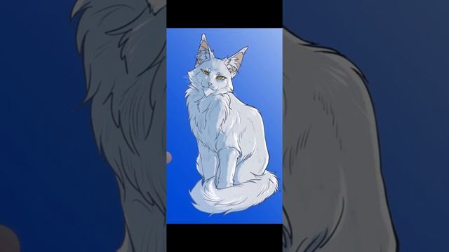 Коты Воители-История Бурана (по заказу коту Беляшу)