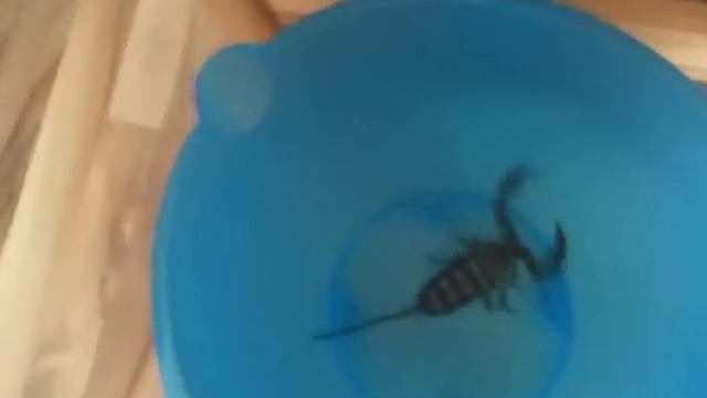 67d4148fd111210918dc6c59bfcd8294