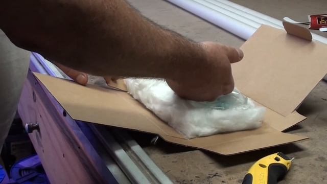 Unboxing A Very Tough Assassin Snail (clea Helena)