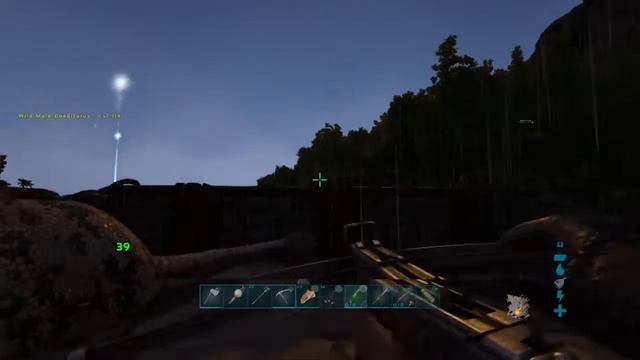 Crazy Pterodactyl (look Up)