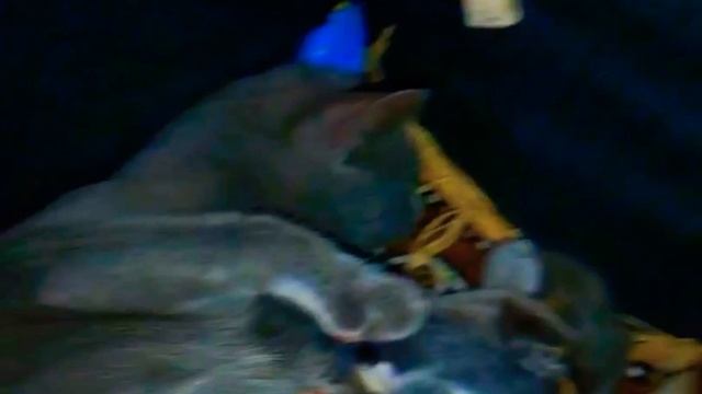 3245ea1462a32714a7046947bc252fe9