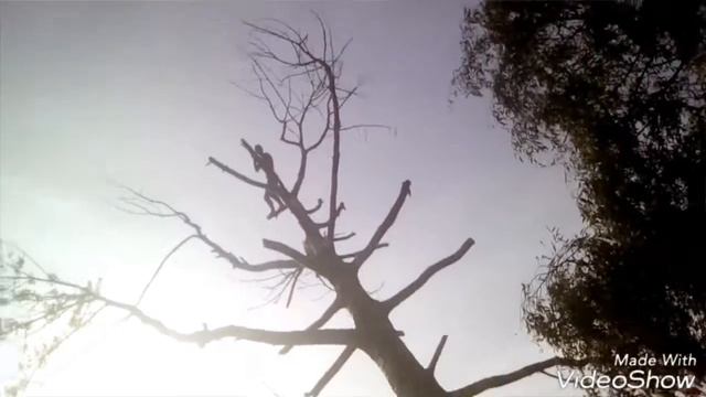 Саня,Саничка,Санёк....