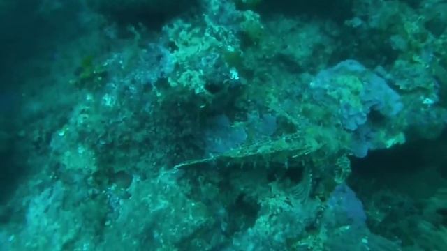 Mataro 30/10/2016 - Escorpora