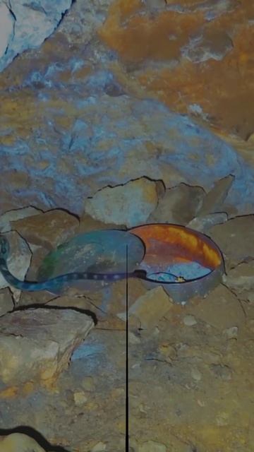 Snake On Jewelry 💎