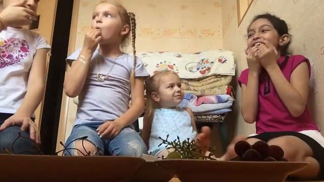 Пухлый кролик))🐇🐇🐇