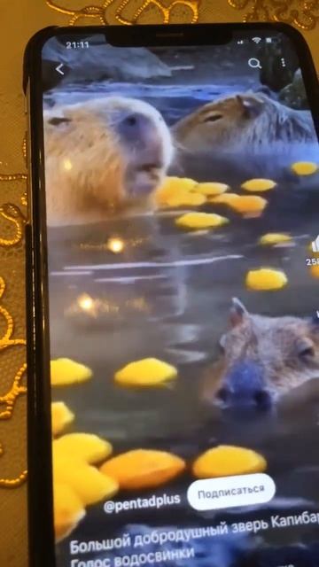 5 января 2024 г.