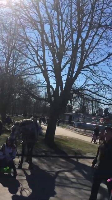 5a259640c95ecedbd093360419f92d5c