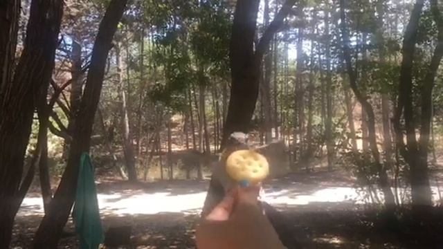 Tara Pov Bird Feed