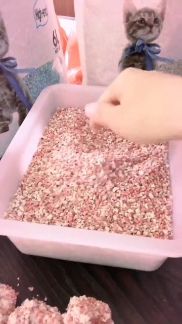 Colorful Tofu Cracked Cat Litter