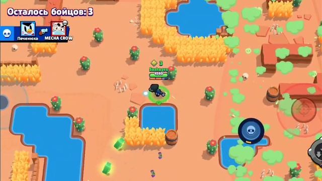 Я пушу ворона от 10 до 12 ранга