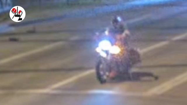 Подорожник атаковал байкера в корму. Real Video