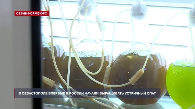 C197ba23081dff103f1ade6936ee5215