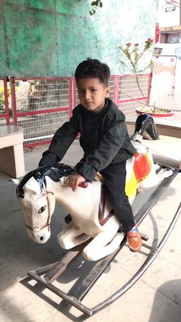 Horse Riding| Children Swing|   #horse #horseriding #kidsvideos #baby #music #toys #funny #shorts