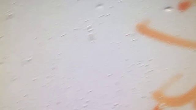 C. Elegans: How To Pick A Worm, Or Two.