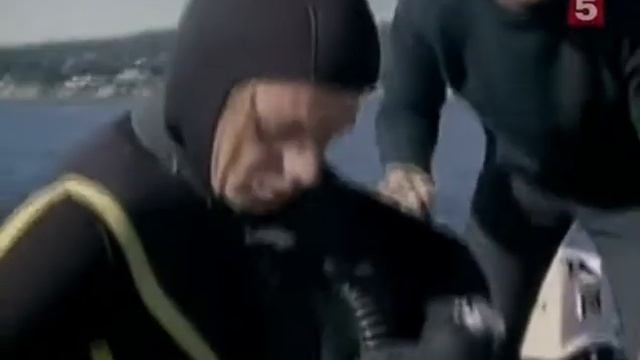 18 1971 Непотопляемая морская выдра