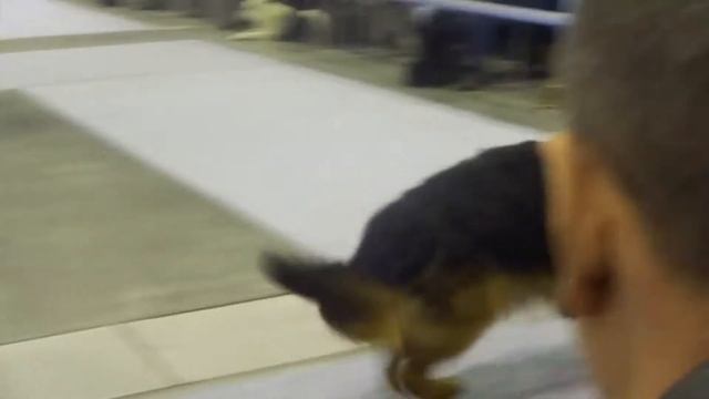 00048 Зидан в ринге юниоров