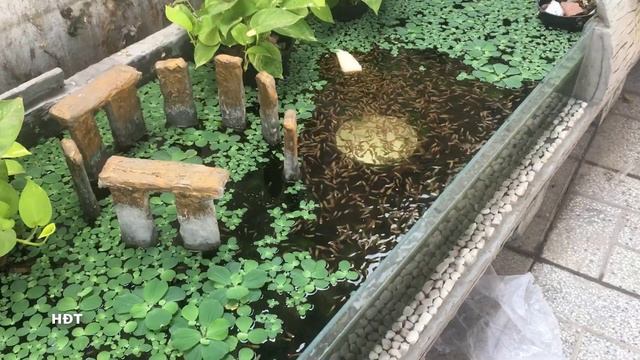 Eba3c43499942356bb35dedfbd6d3761