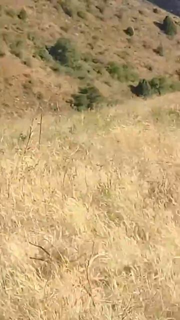 Өгем тауы(2)