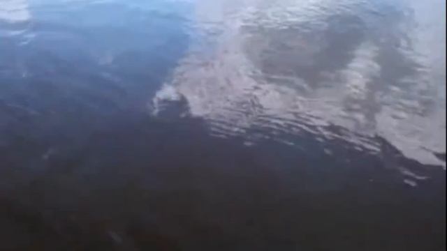 70e5023d4084c3e5093a7c66f29cd8a7