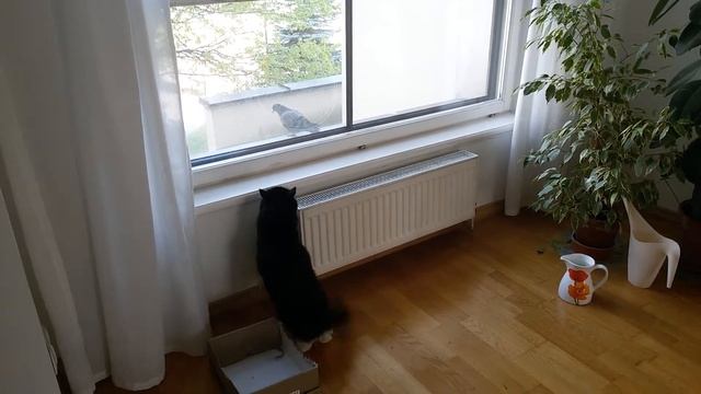 Ba01d118d34066ca28afc721a638f119