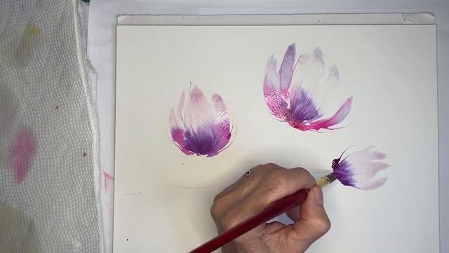 4e91b73e93da99130a105b0972edd764