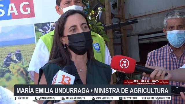 NT MOSCA DE LA FRUTA AV