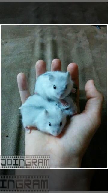 E5f18e3c84fd705986a1a3067c9304b3