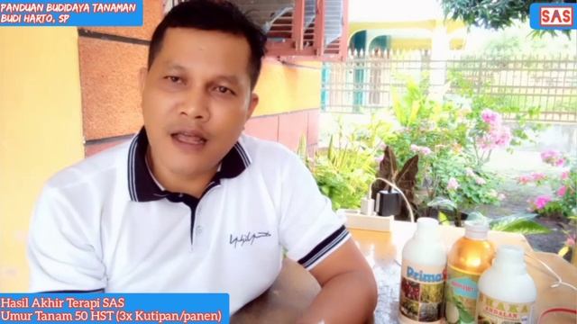 TEKNIK MEREDAM KELEBIHAN CHLOR (Cl), FERRIT (Fe) & ALUMUNIUM (Al) PADA LAHAN BUDIDAYA