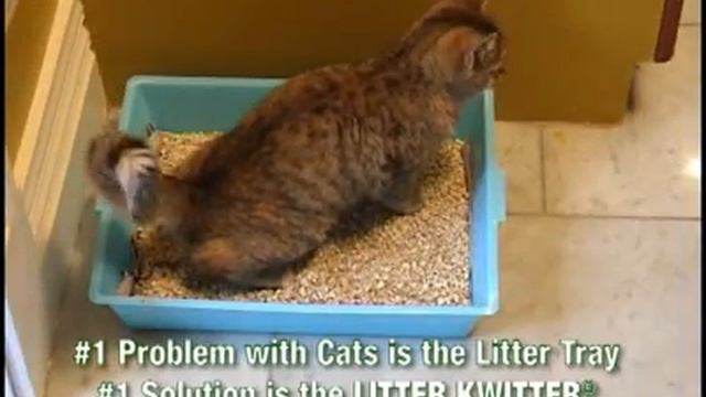 Litter Kwitter - The Original Cat Toilet Training System