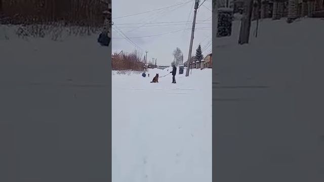 максимум раздражителей