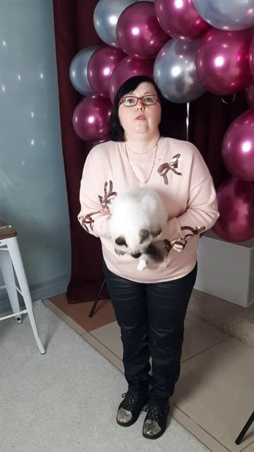 B29544d9287b4769ca64a8de7e42a291