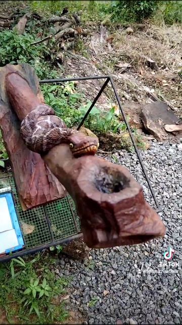 Wood Carving Snake ♥️🐍😎  #woodworking #viral #art #artist #like #srilanka