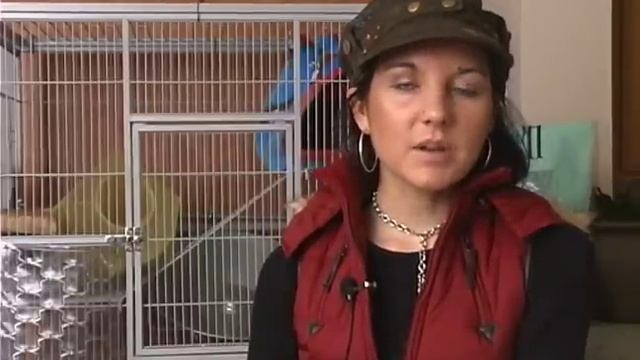 How To Buy & Care For Chinchillas : Pet Chinchillas & Spraying