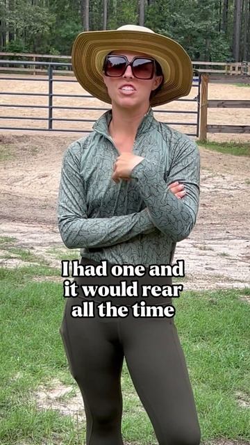 Breed Sterotypes Really Need To Be Checked At The Door 😔 #horses #equestrian #horse #farm