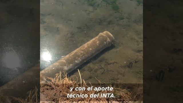 AGUA, UN RECURSO NECESARIO - Carolina Stanley